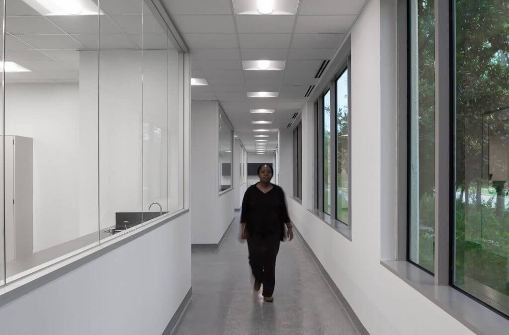 A woman walking down a bright, modern hallway of Cellipont’s GMP cell therapy facility with large exterior windows on one side and interior lab windows on the other.