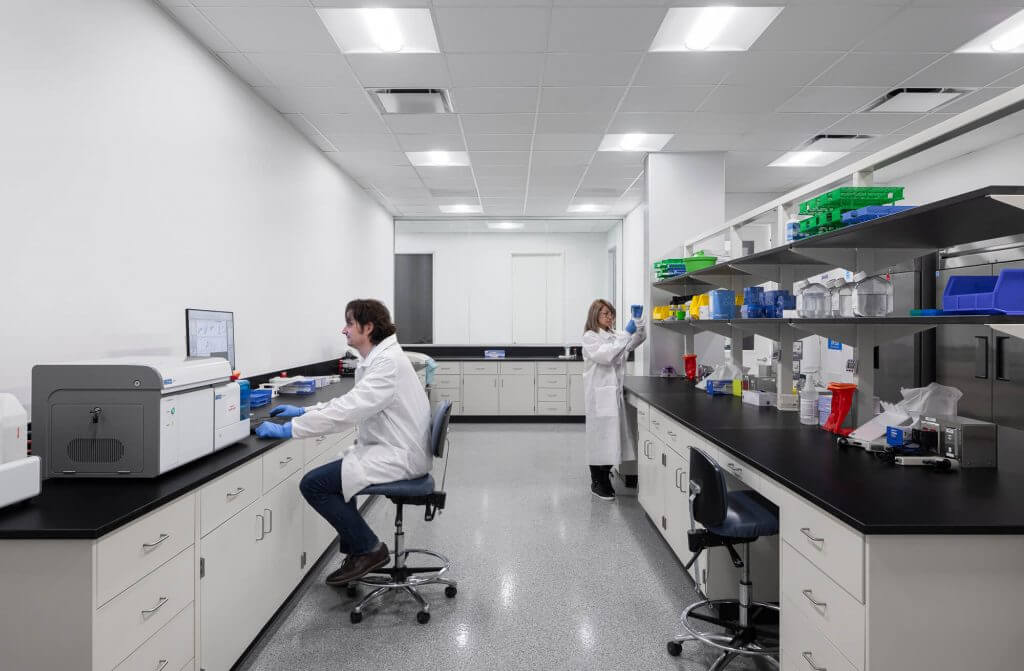 Scientists performing analytical testing and sample preparation in Cellipont’s GMP-compliant cell therapy laboratory equipped for process development and quality control.